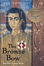 Book cover: The Bronze Bow